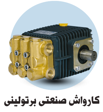 کارواش صنعتی برتولینی