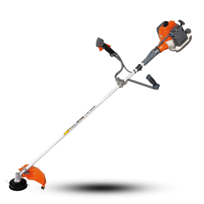 علف زن اولیومک