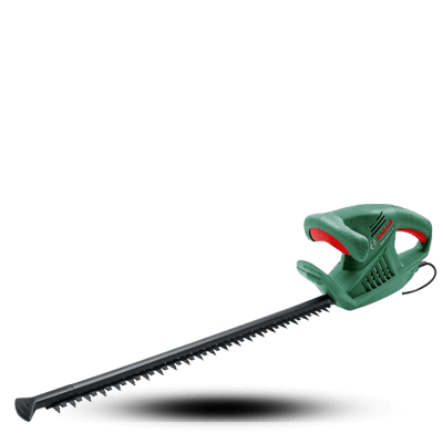 شمشاد زن بوش