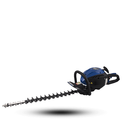 شمشاد زن هیوندای