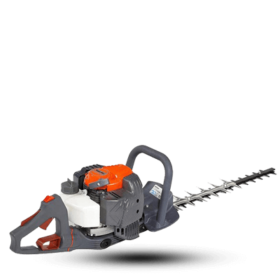 شمشاد زن اولیومک