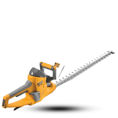 شمشاد زن استیگا