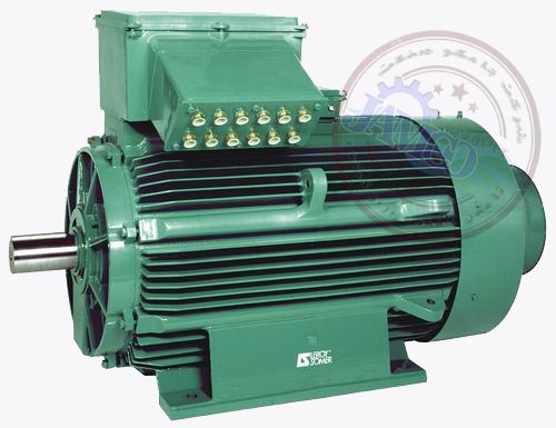 asynchronous electric motor