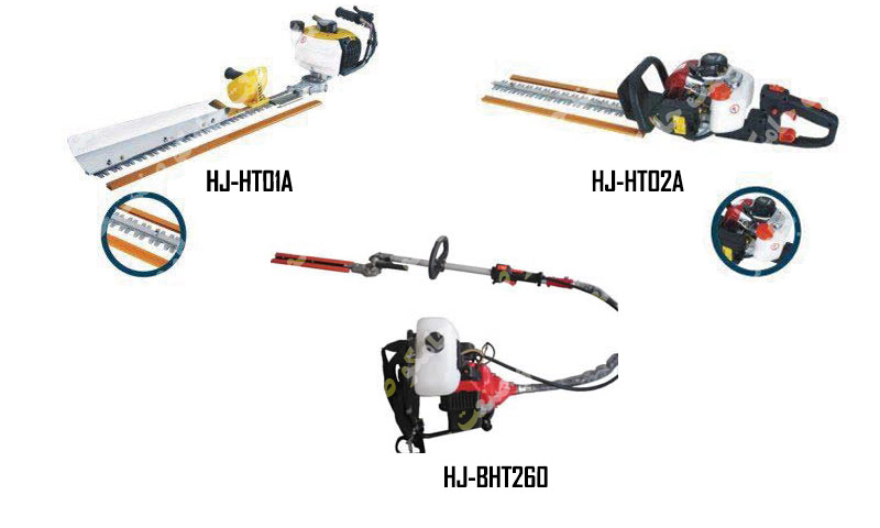 شمشاد زن چینی شمشاد زن چینی