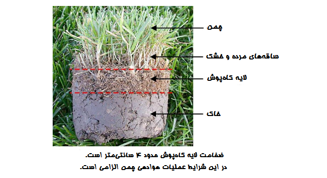 کاهپوش چمن زن